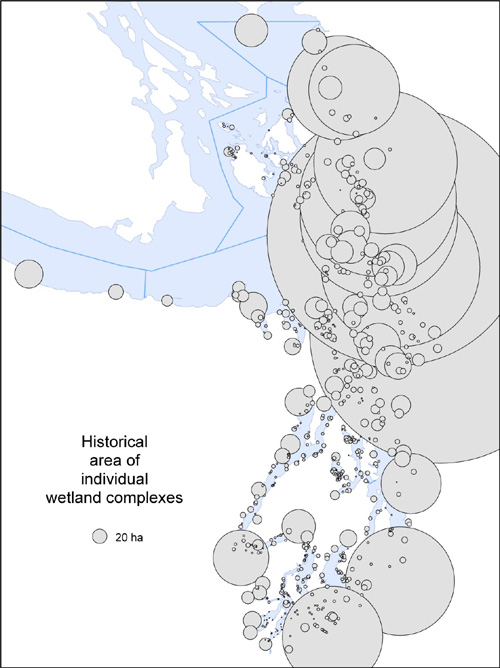 Historical and current area of individual tidal wetlands.