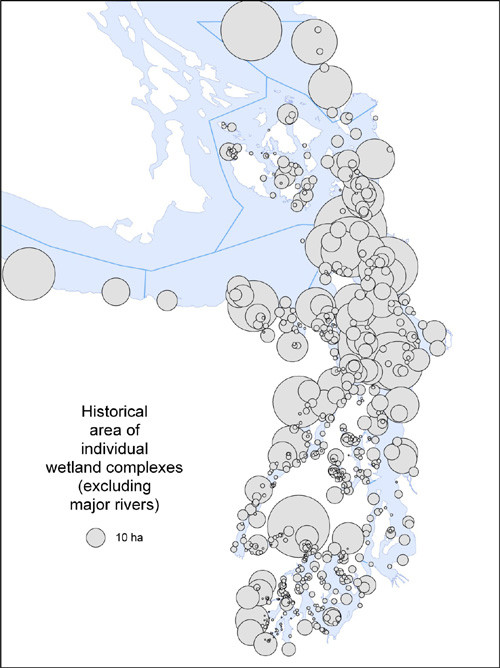 Historical and current area of individual tidal wetlands.