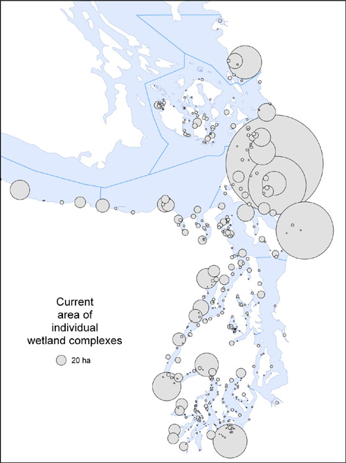 Historical and current area of individual tidal wetlands.