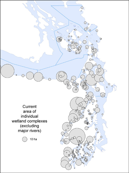 Historical and current area of individual tidal wetlands.