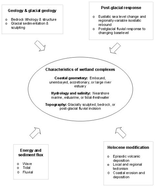 Factors that create different types of tidal wetlands, and characteristics used to define wetland types.