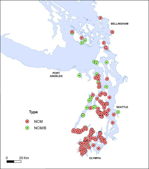 Distribution of wetland types.