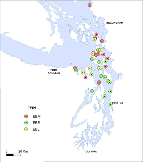 Distribution of wetland types.