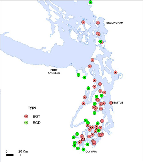 Distribution of wetland types.