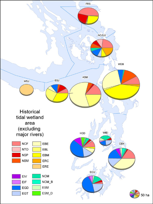 Historical tidal wetland area, grouped by wetland type and aggregated in sub-basins, excluding estuaries of large rivers.