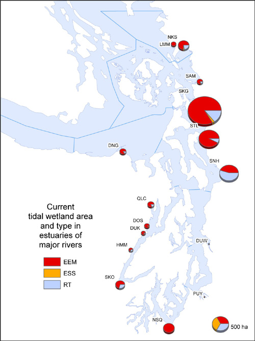 Relative area, currently, of estuarine emergent, estuarine scrub-shrub, and riverine-tidal wetlands in estuaries of major rivers draining the Cascade Range and Olympic Mountains.